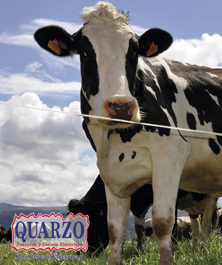 quarzo